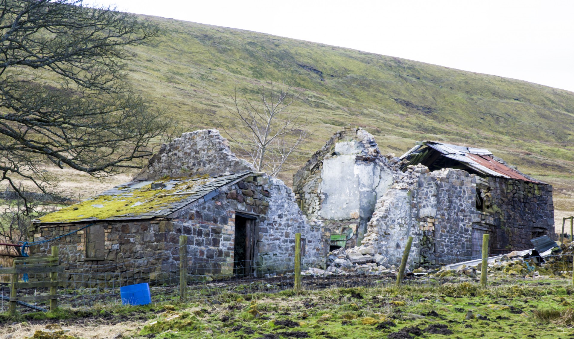 cottage derelict ruin free photo