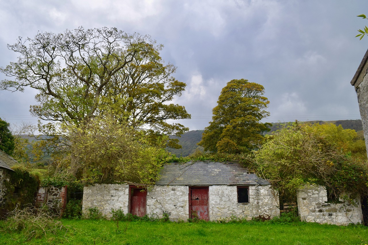 derelict farmyard autumn trees free photo