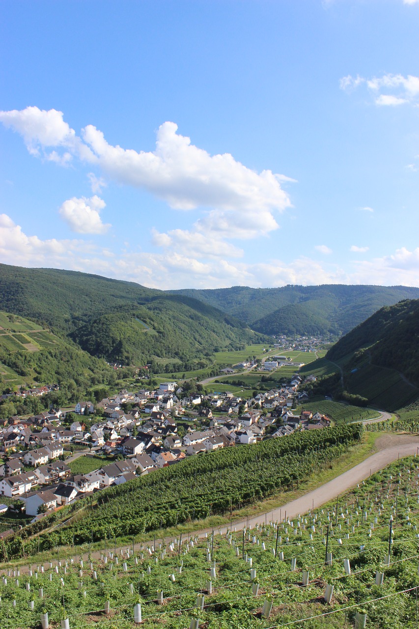 dernau ahr valley vineyards free photo