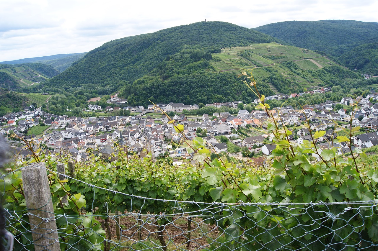 dernau ahr valley wine free photo