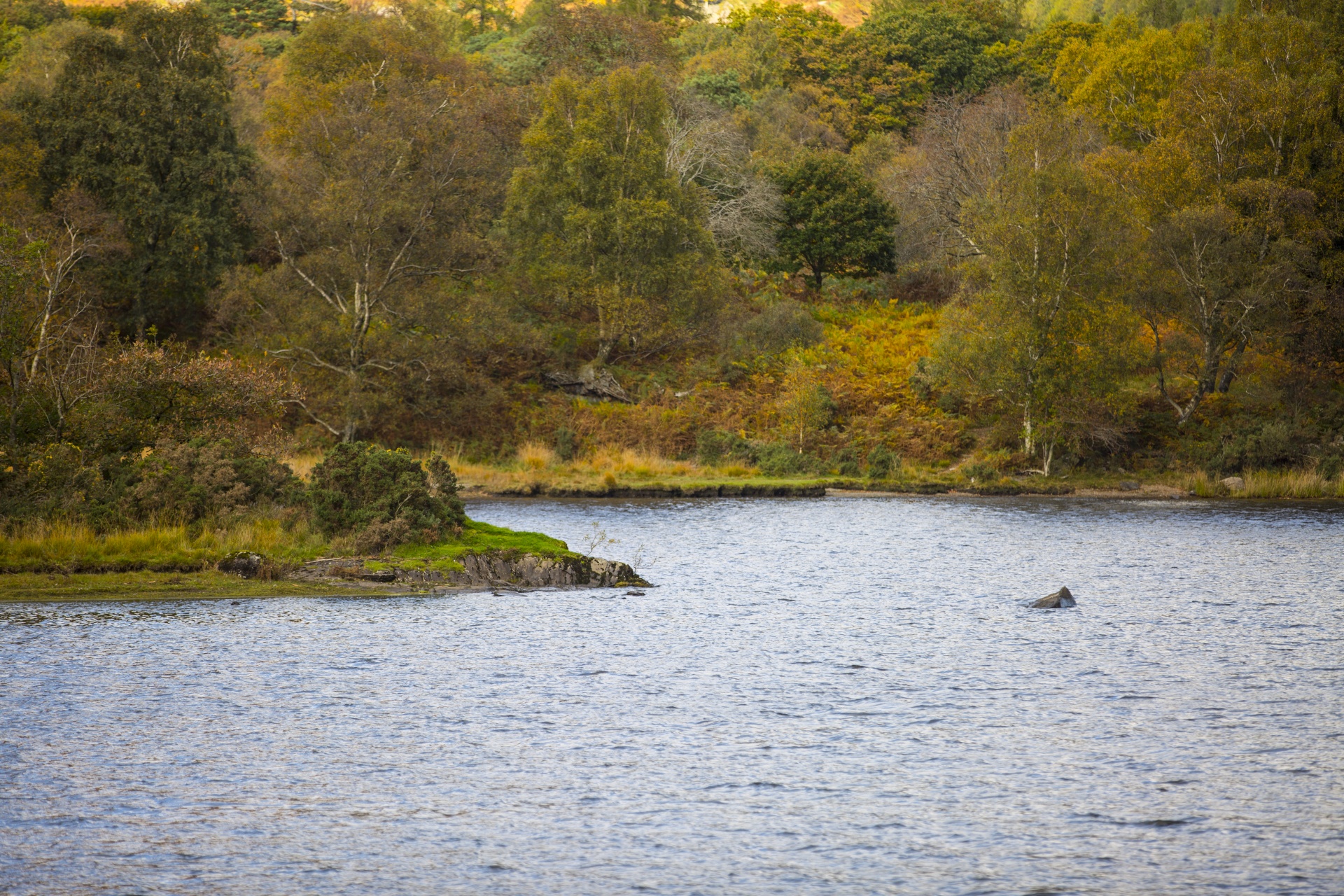 derwent water scenery free photo