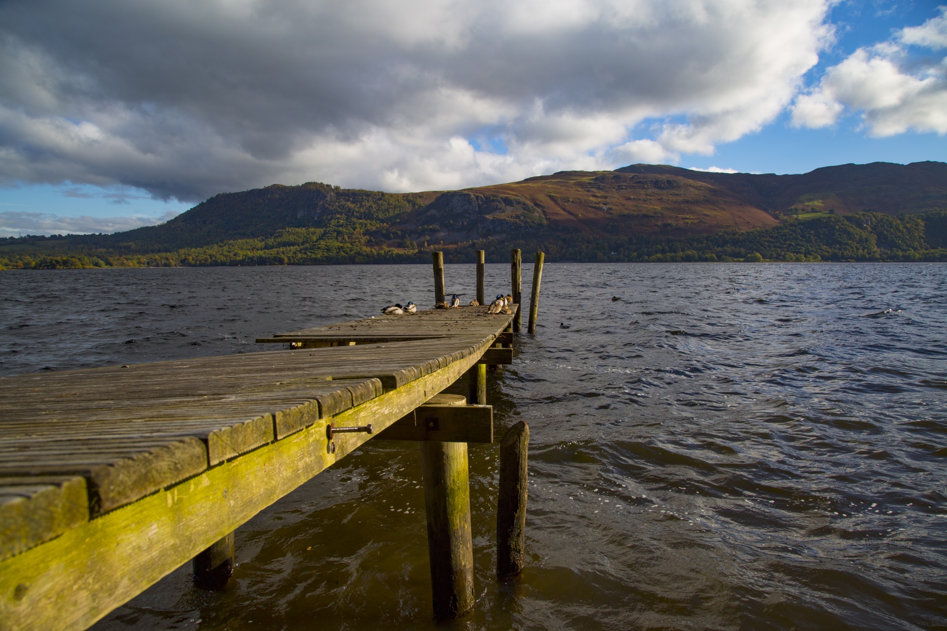 derwent water scenery free photo