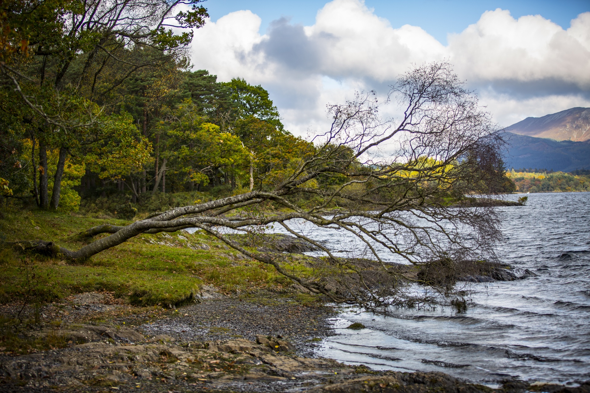 derwent water scenery free photo