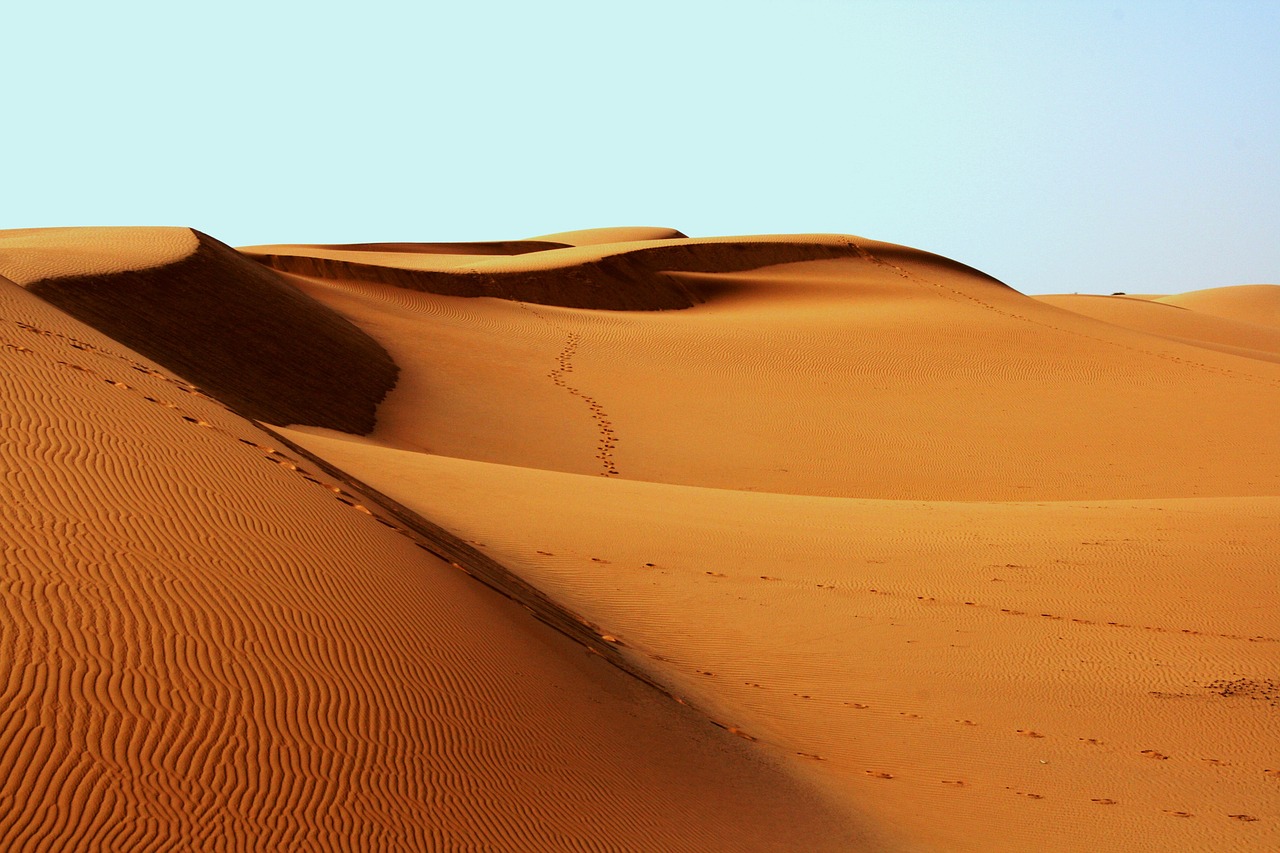 desert africa bedouin free photo