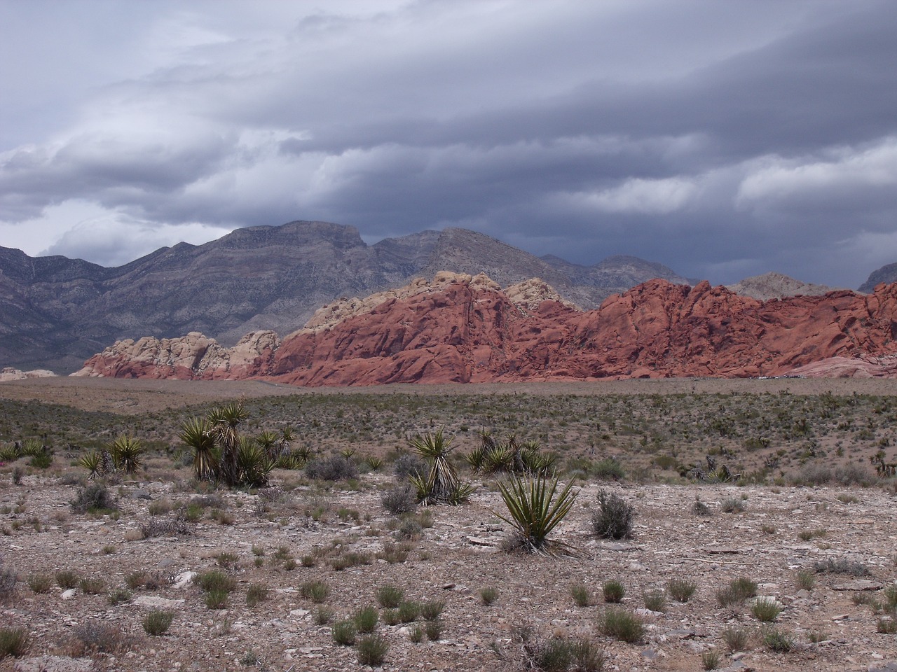 desert nevada las vegas free photo