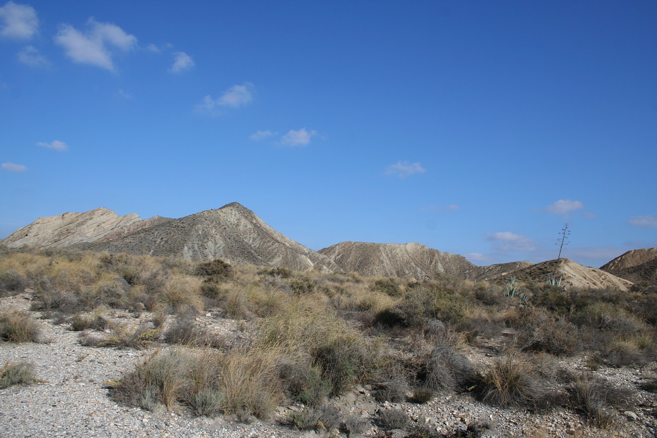 desert arid dry free photo