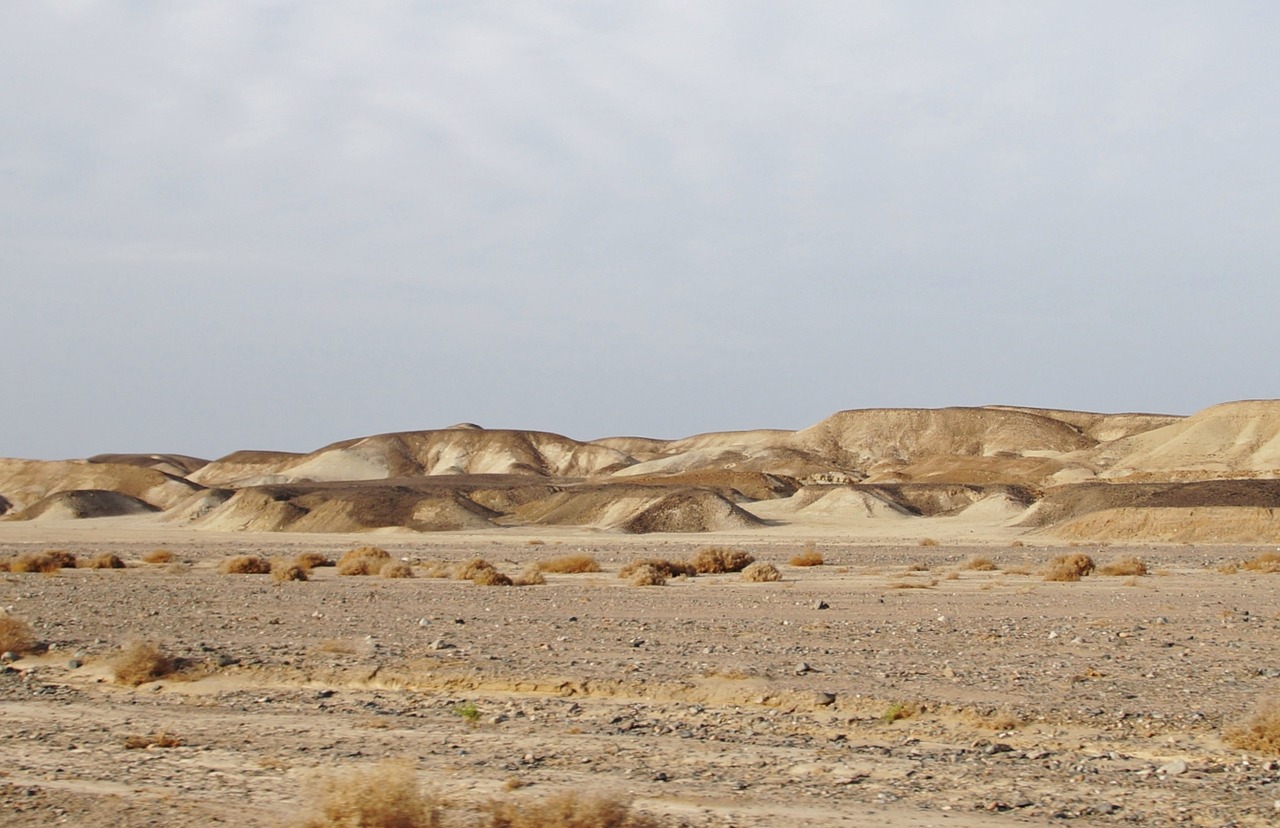 desert egypt sand free photo