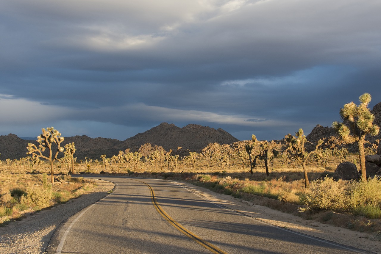 desert winding highway landscape free photo