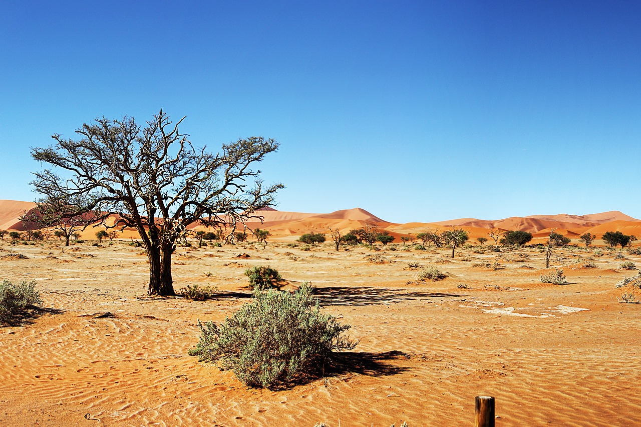desert namibia dunes free photo