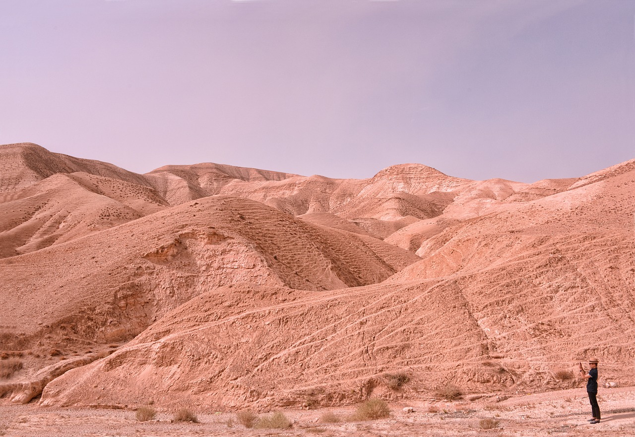 desert israel roche free photo