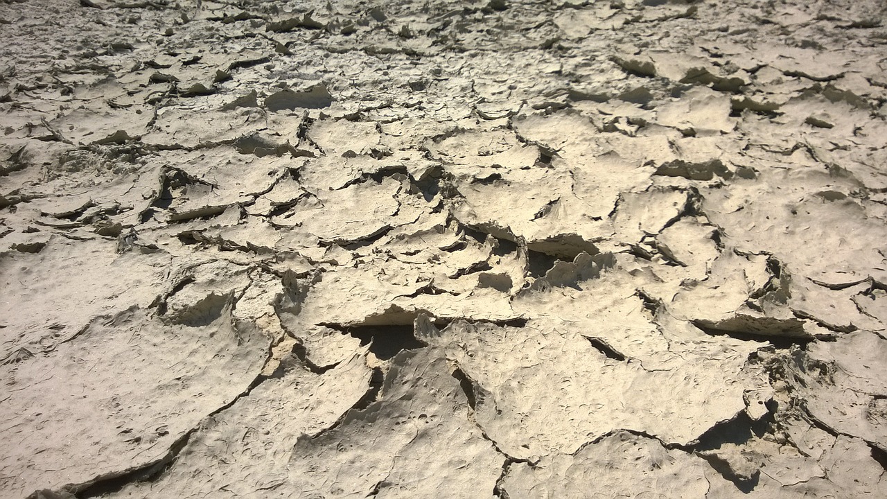 desert drought dust free photo