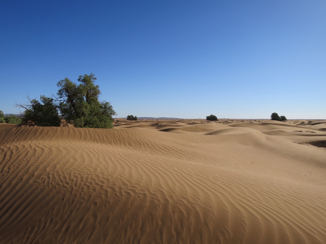 desert sand morocco free photo