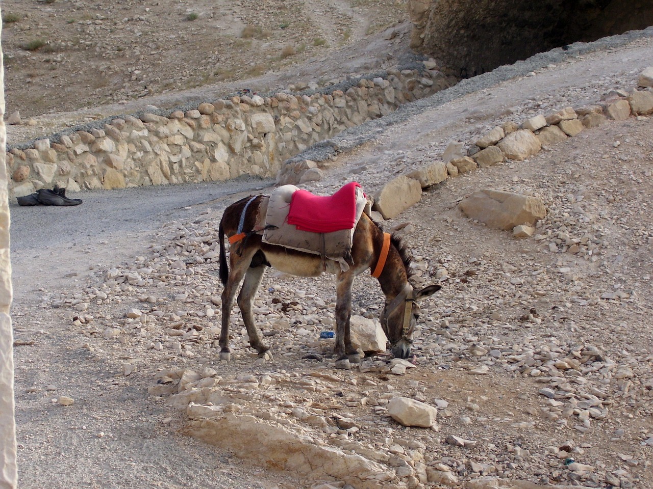 desert ass way free photo