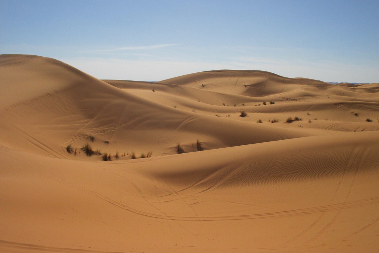 desert morocco sahara free photo