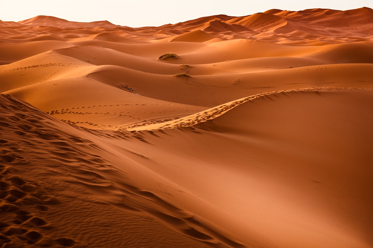 desert morocco sand dune free photo