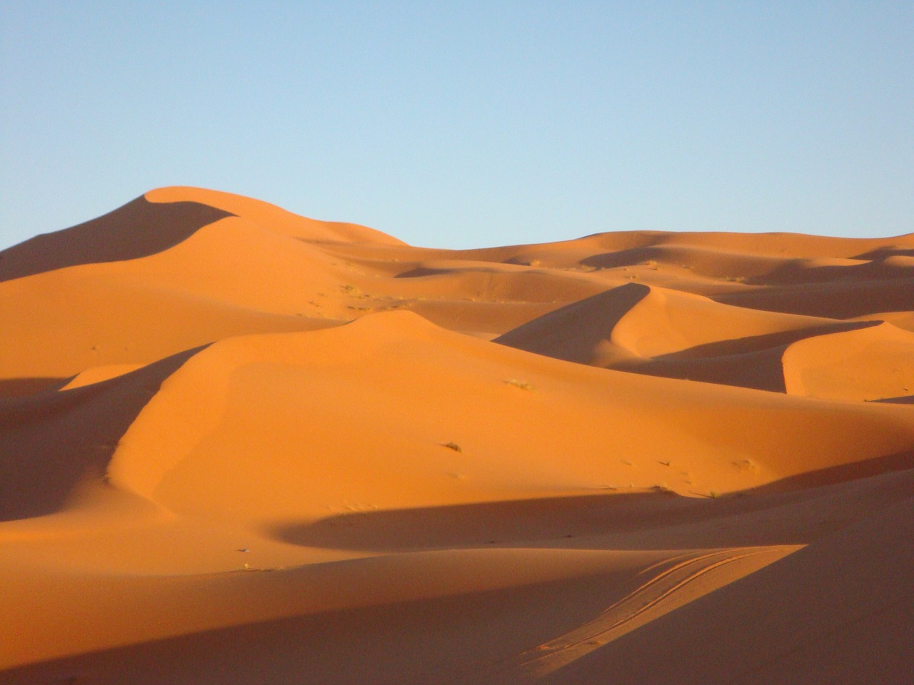 desert sand dune dune free photo
