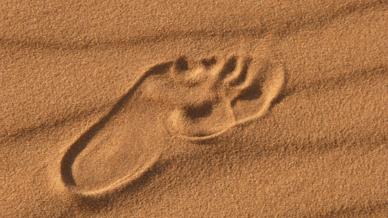 desert footprint foot free photo