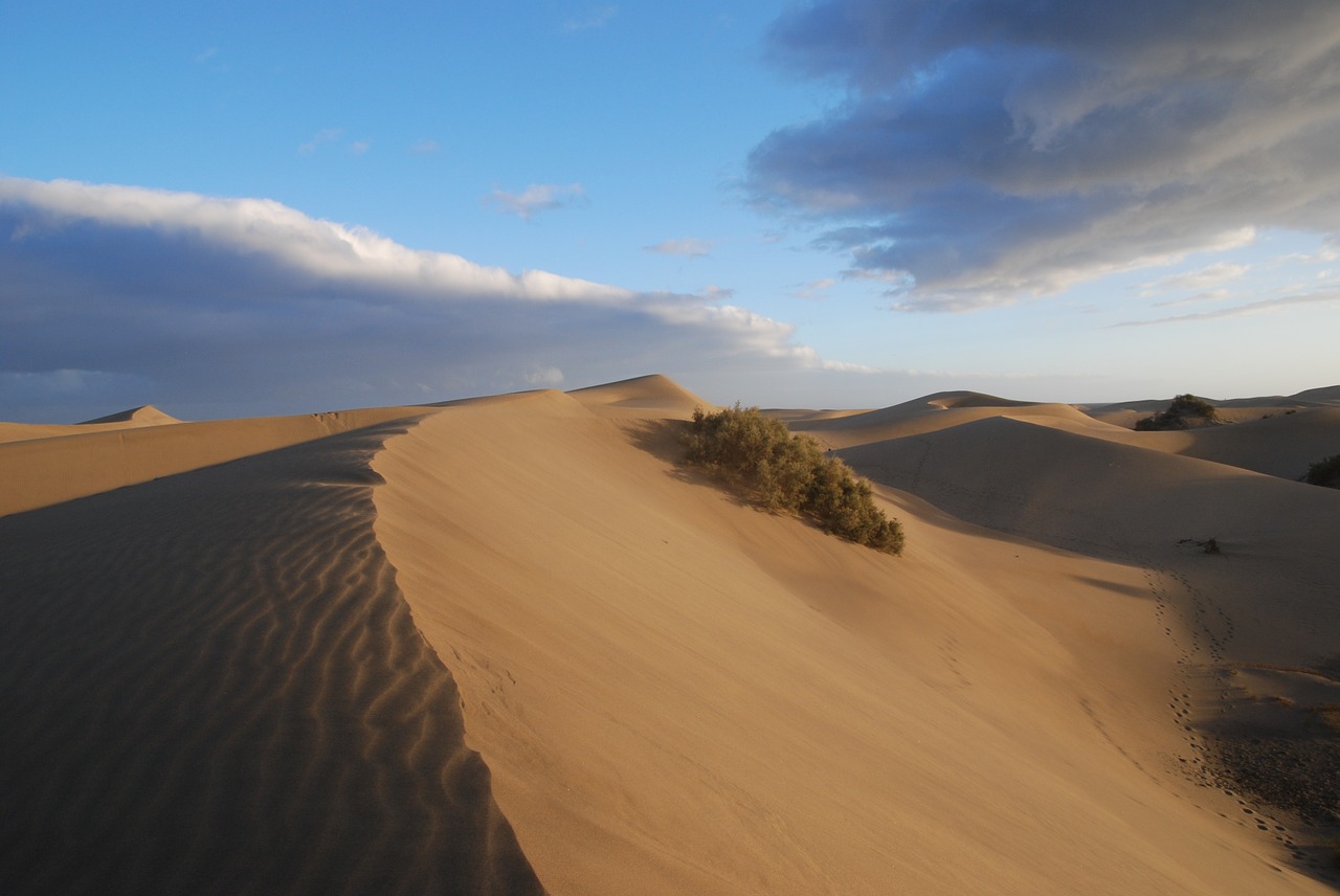 desert sand dunes free photo