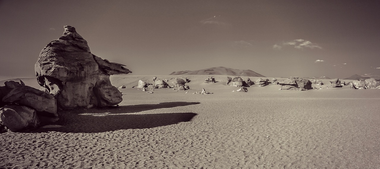 desert siloli bolivia free photo