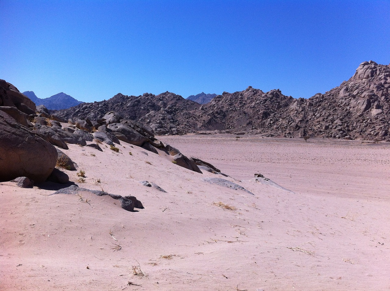 desert sand egypt free photo