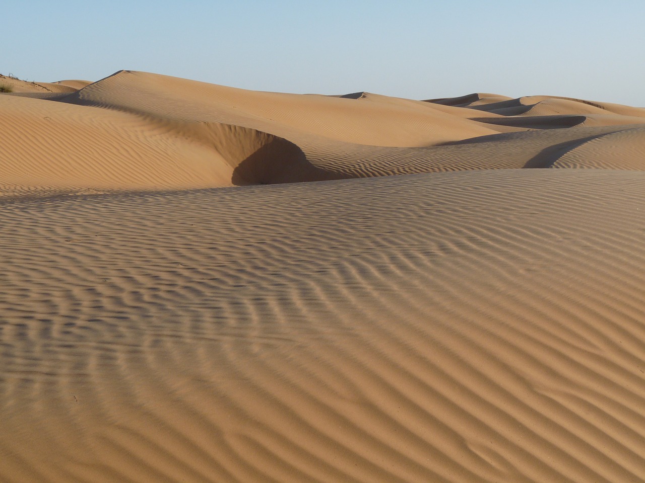 desert sand sand dunes free photo
