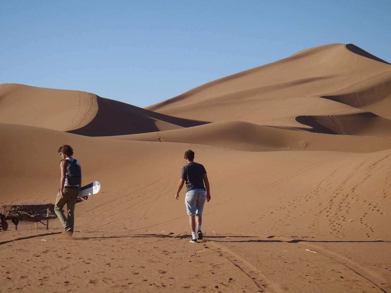 desert sahara dune free photo