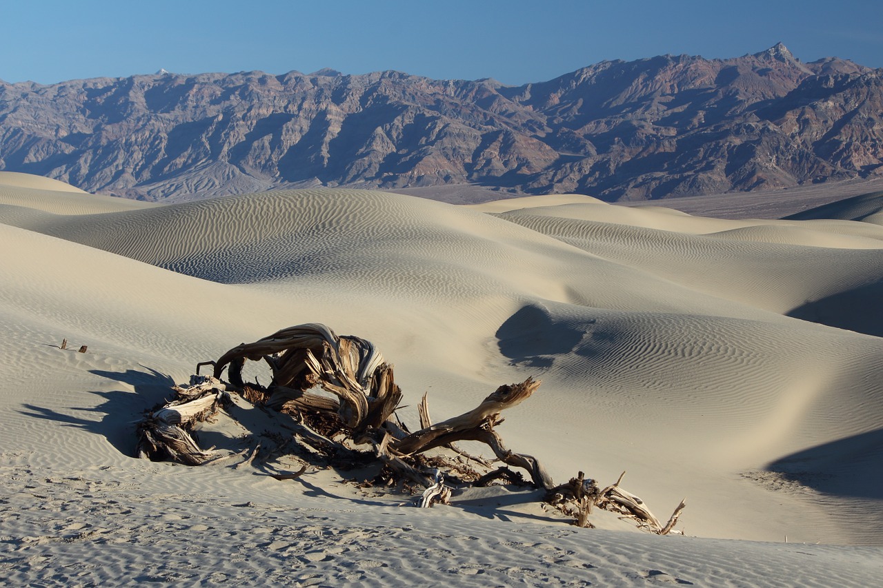 desert death valley sand dunes free photo