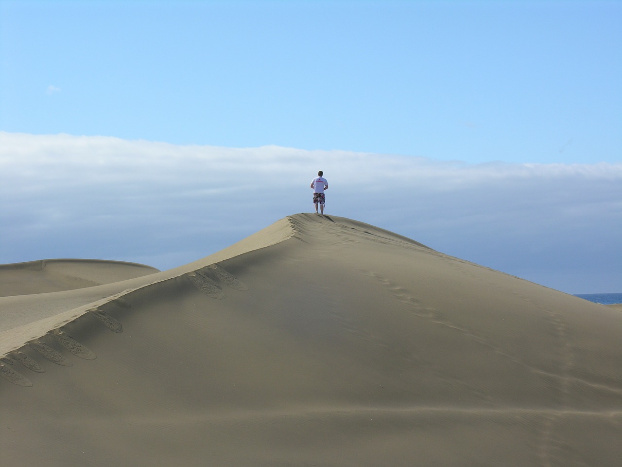 desert sand dune free photo