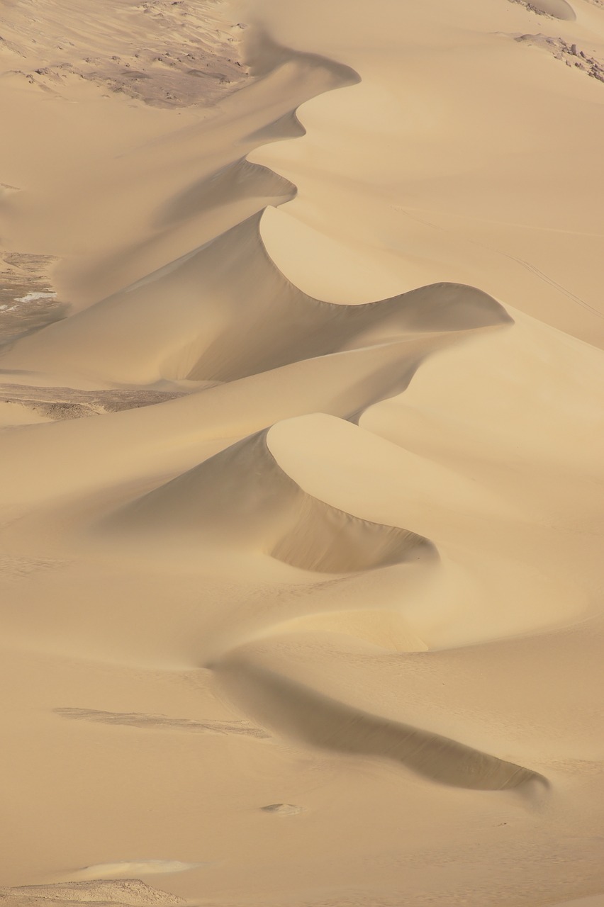 desert egypt sand free photo