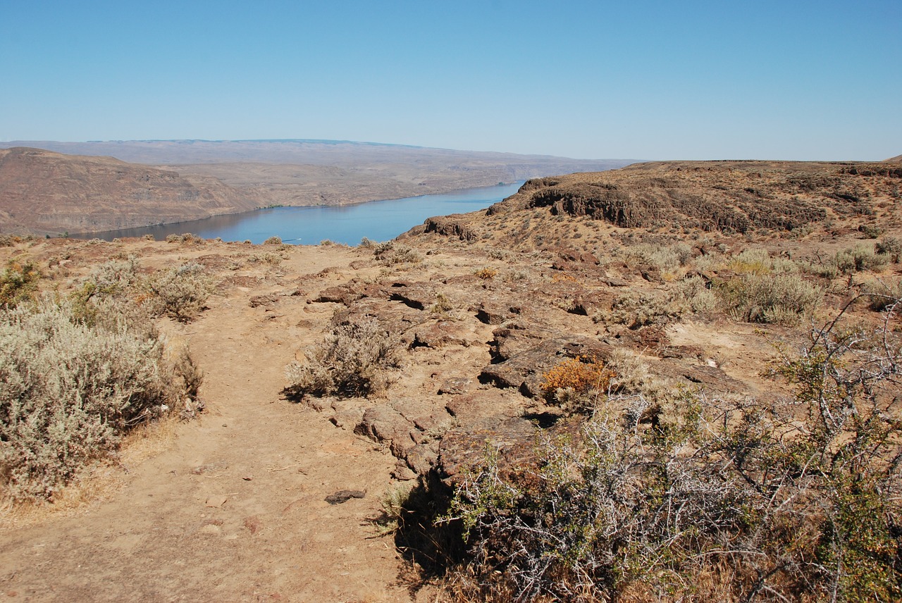 Desert,dry,drought,water,sand - Free Image From Needpix.com