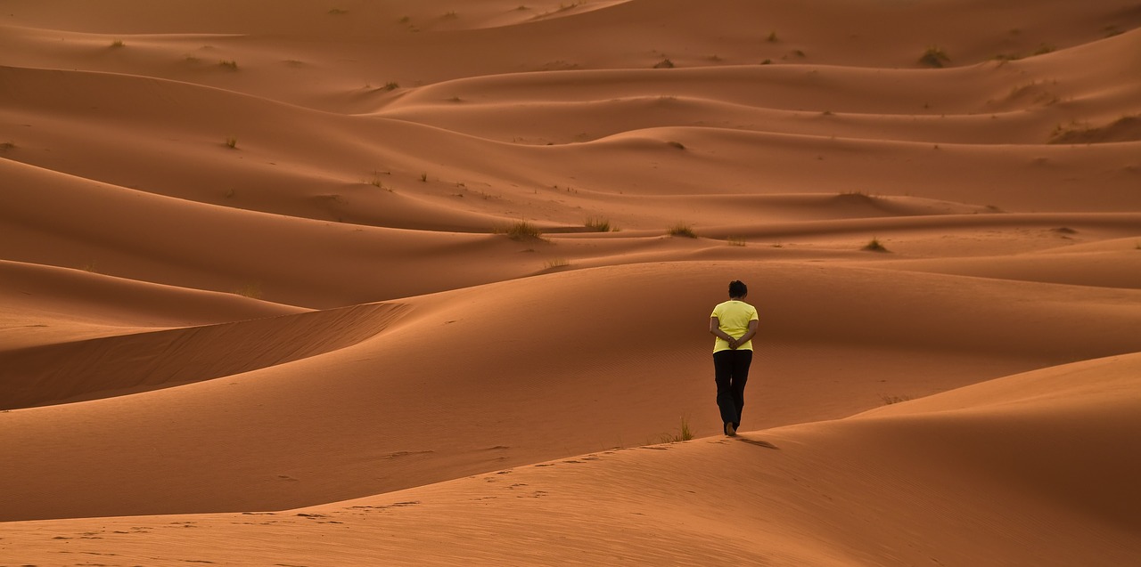 desert dunes sand free photo