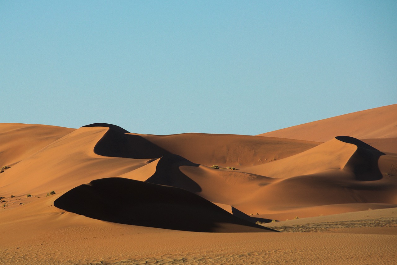 desert sand namib free photo