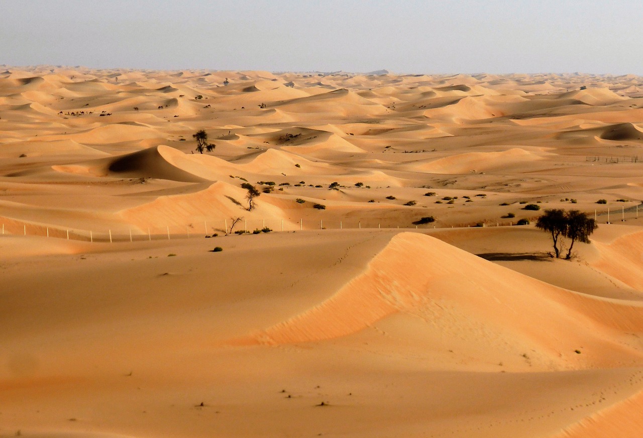 desert landscape drought free photo
