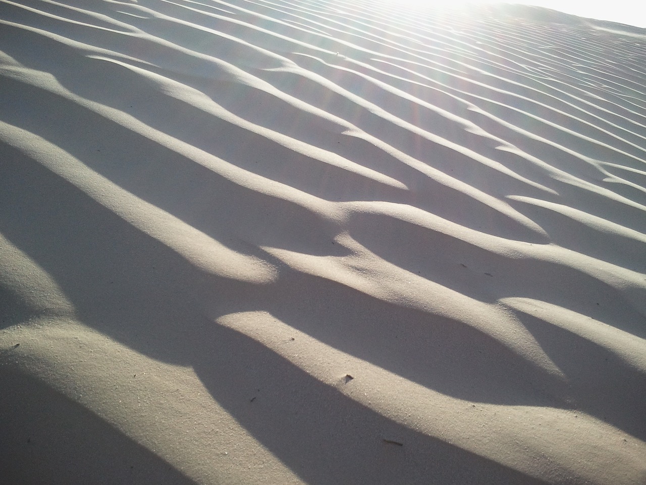 desert sahara sand free photo