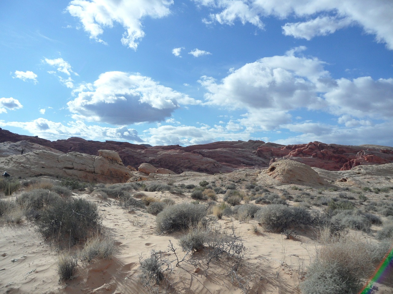 desert sand sun free photo