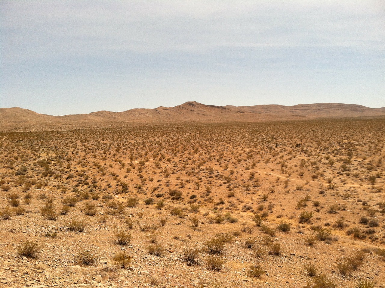 desert dry sand free photo