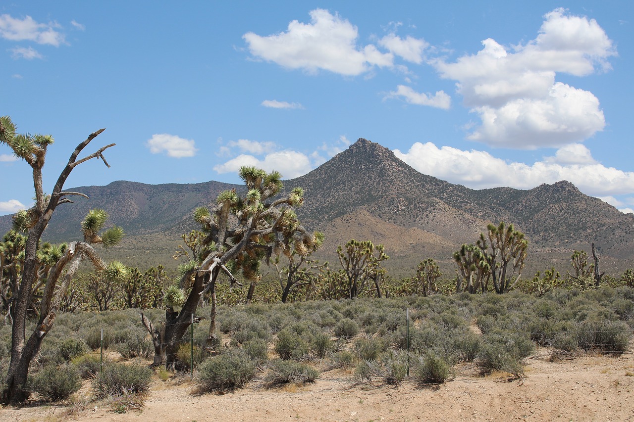 desert las vegas landscape free photo