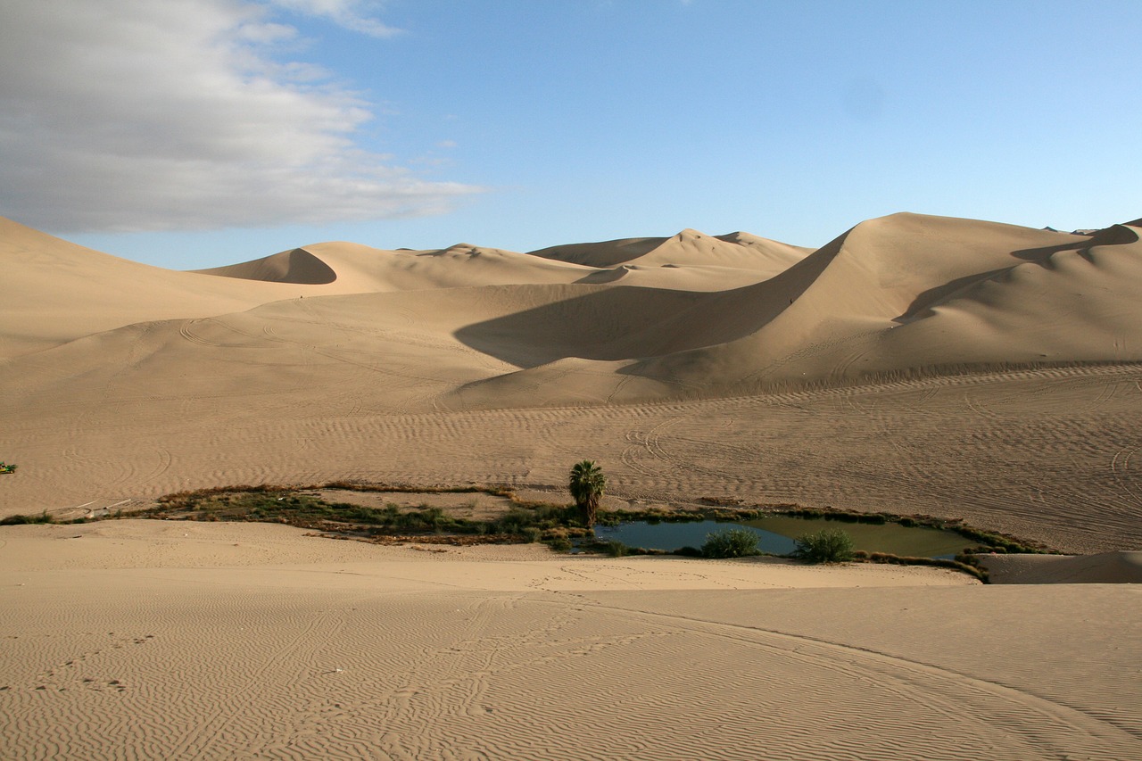 oasis desert dune free photo