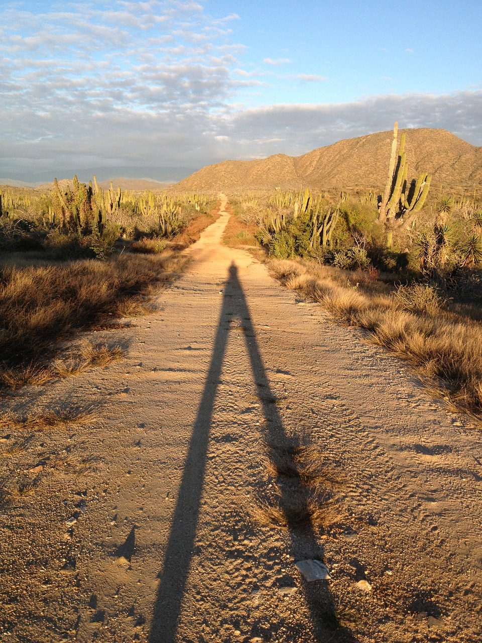 desert shadow adventure free photo