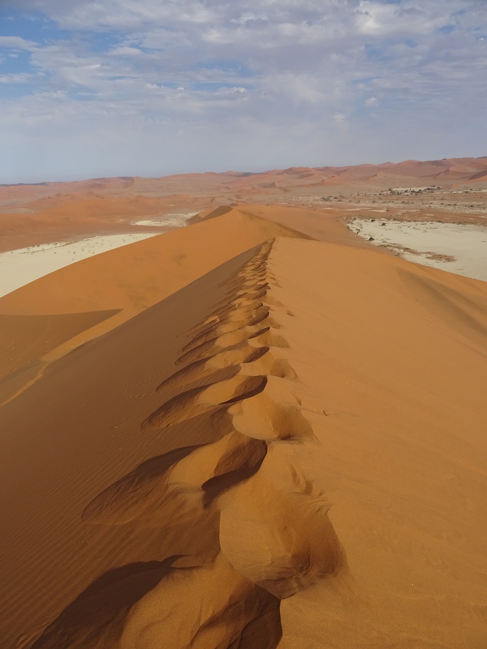 desert dunes trace free photo