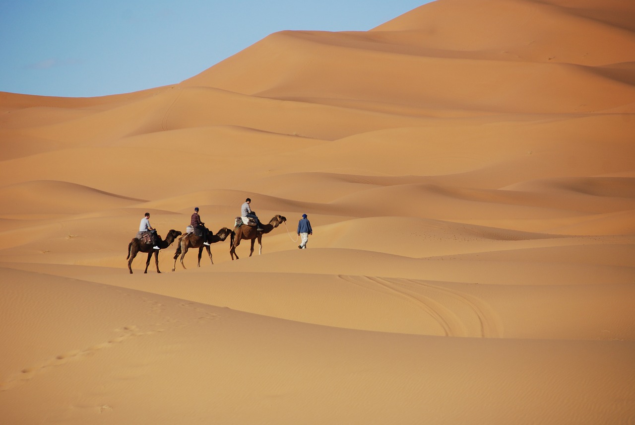 desert sand dunes free photo