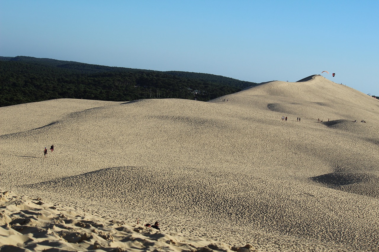 desert sand dune free photo