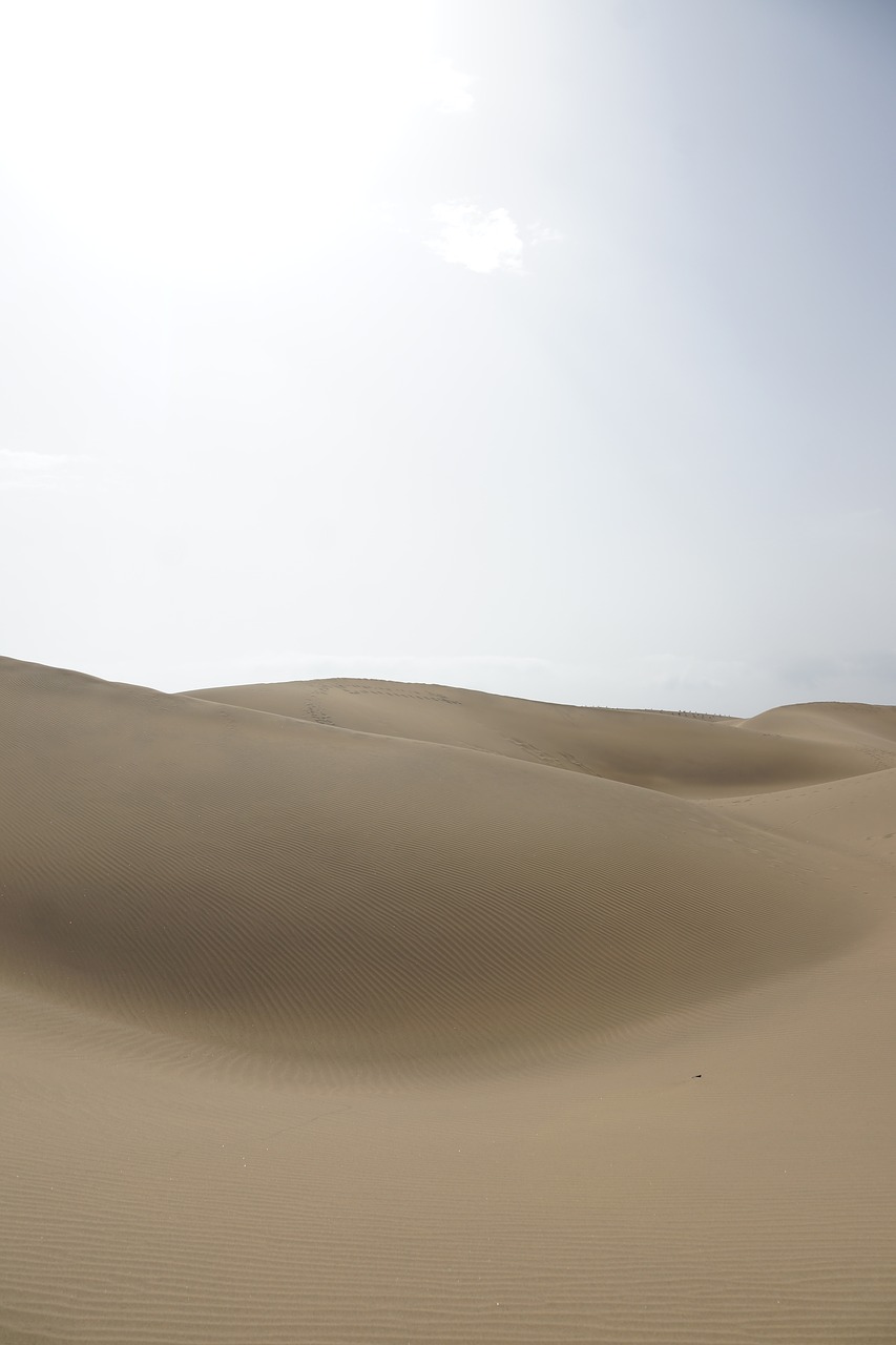 desert gran canaria beach free photo