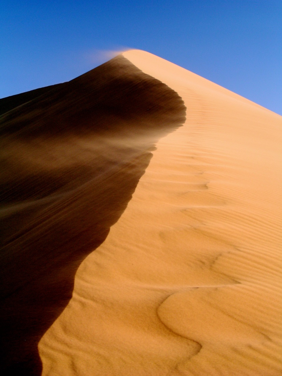 desert dunes africa free photo