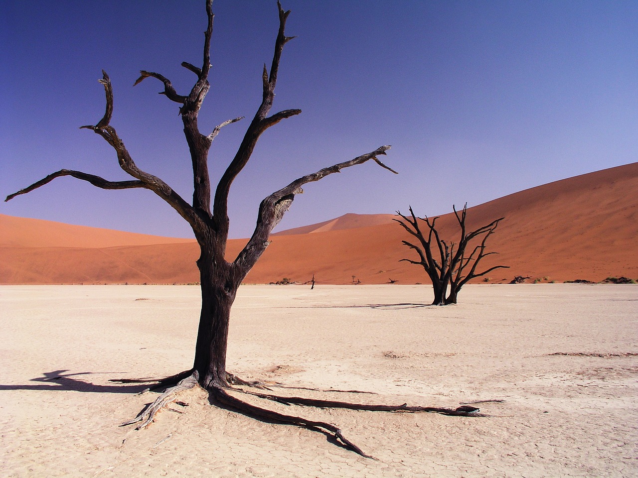 desert drought dry free photo