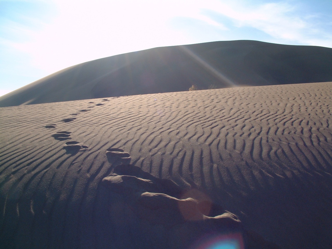 desert footprints sand free photo