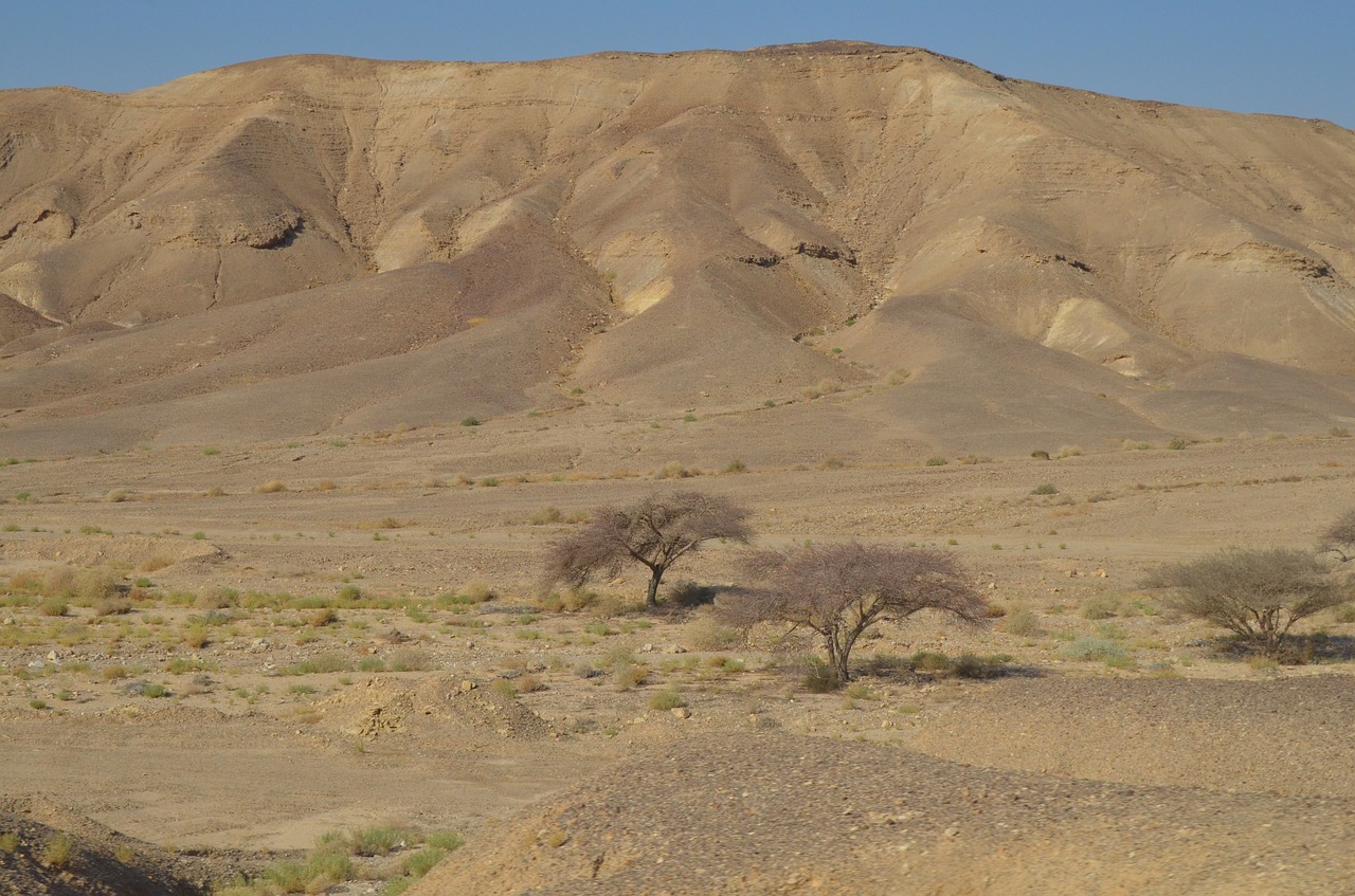 desert israel landscape free photo