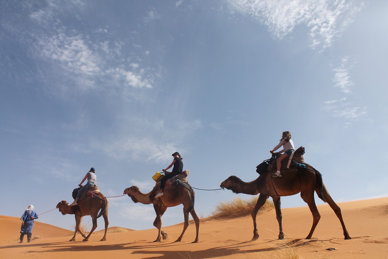 desert sahara sand free photo