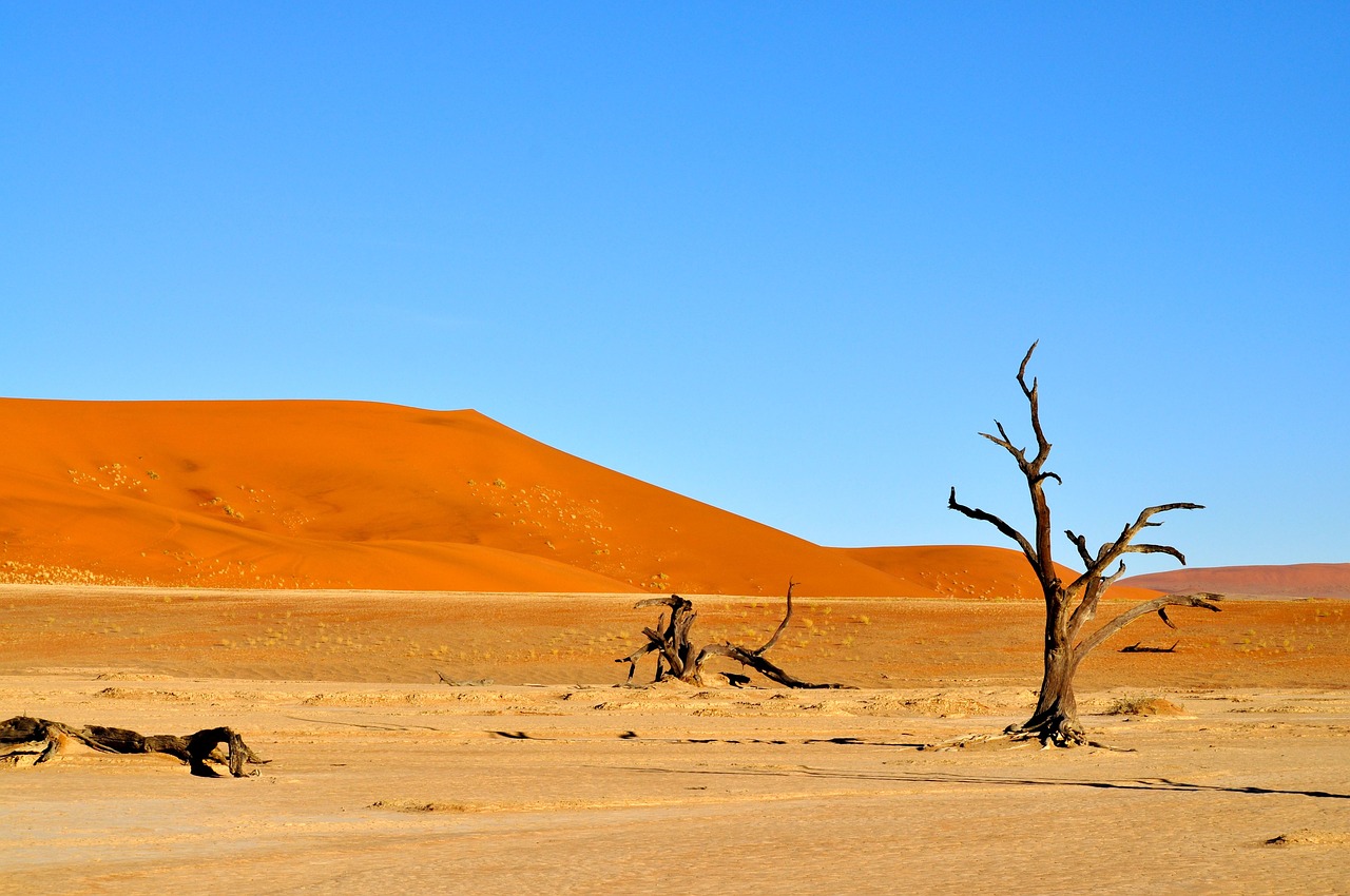 desert nature namibia free photo