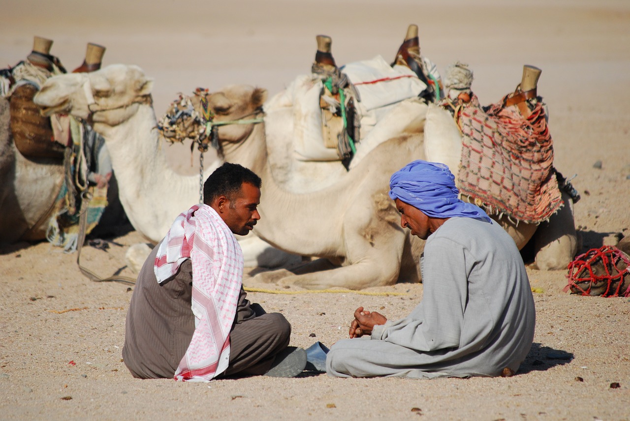 desert camel africa free photo